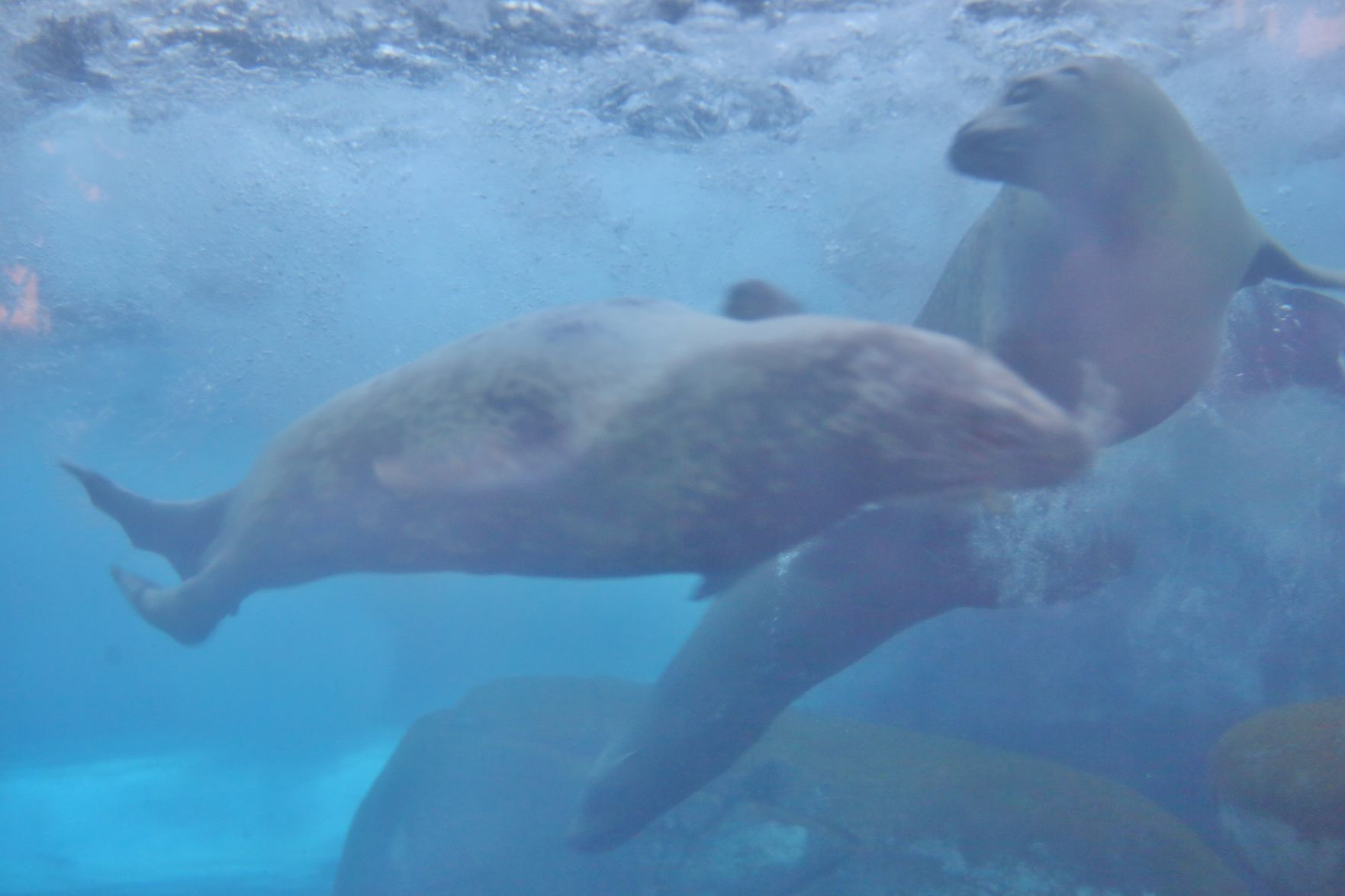 Zoo-Ado-081.JPG